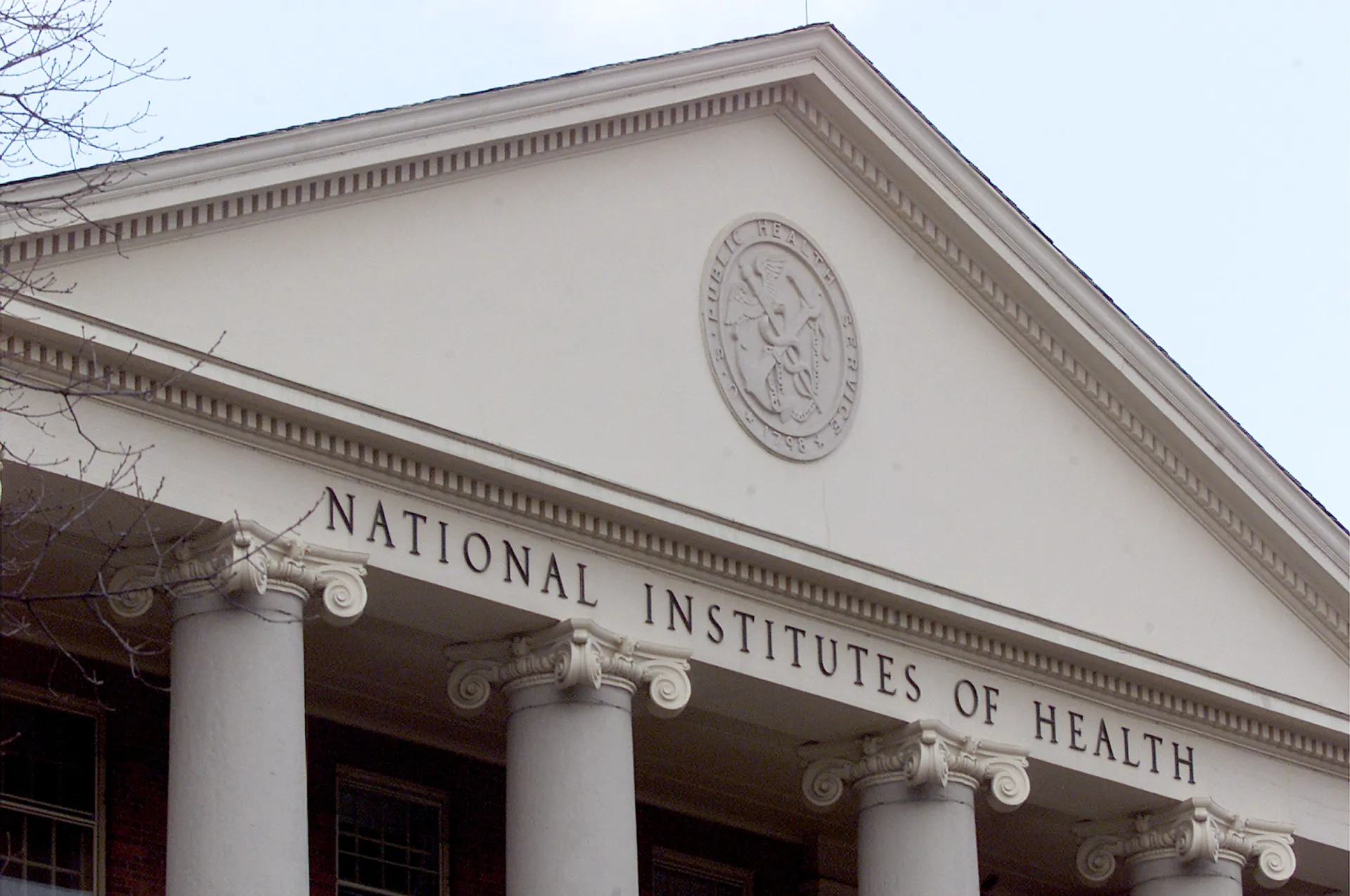 NIH research cuts